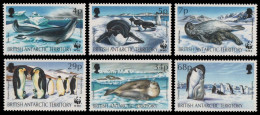 BAT / Brit. Antarktis 1992 - Mi-Nr. 193-198 ** - MNH - Robben / Seals - Pinguine - Unused Stamps