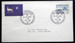 Greenland 1974 Sdr. Strömfjord 24-12-1974 With Special Christmas Cancel  ( Lot 4673 ) - Lettres & Documents