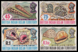BIOT 1974 - Mi-Nr. 59-62 ** - MNH - Meeresschnecken / Marine Snails - Territorio Británico Del Océano Índico