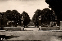 CPSM 80 Somme - CHAULNES - Entrée Du Château - Chaulnes