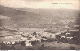 GENERAL VIEW CWMGWRACH - Breconshire
