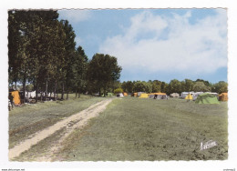 89 COURLON N°33206 Vers Champigny Terrain Camping Vallée De L'Yonne Caravanes Renault Frégate 4CV Ford Consul ? VOIR DOS - Champigny