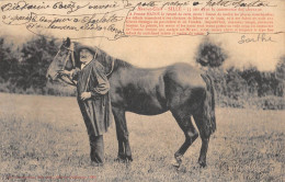 CPA 72 SILLE / HAUT ET CLAIR / PIERRE HATON / 55 ANS DANS LE COMMERCE DES CHEVAUX - Sille Le Guillaume