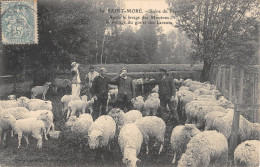 CPA 89 SAINT MORE / SCENE DU PAYS / APRES LE LAVAGE DES MOUTONS / LE RINCAGE DU GOSIER DES LAVEURS - Andere & Zonder Classificatie