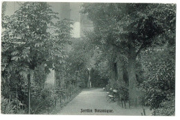 Arbre Benit Ixelles Jardin Botanique - Elsene - Ixelles