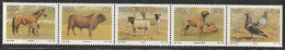 AFRIQUE Du SUD - N°730/4 ** (1991) Animaux - Unused Stamps