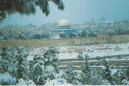 Cpm 10x15. ISRAEL . Jerusalem In Snow ( Jérusalem Sous La Neige) Edit Book Shop N° 511 - Israel