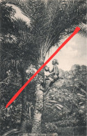 AK Native Drawing Toddy Coconut Palm Palmtree Colony British Empire Britisch Indien India Inde Asia Asie Timor Osttimor - Oost-Timor