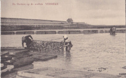 YERSEKE OESTERCULTUUR OESTER-INDUSTRIE AANVOER VISSERIJ ZEEFTEN OESTERS HUITRES KLEDERDRACHT - Yerseke