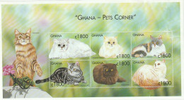 Ghana   Mini Sheet   2000   "Pets Corner -  Cats" - Ghana (1957-...)