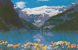 AK 181151 CANADA - Ontario - Alberta - Lake Louise - The Poppies - Lake Louise