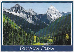 AK 181158 CANADA - British Columbia - Rogers Pass - Sonstige & Ohne Zuordnung