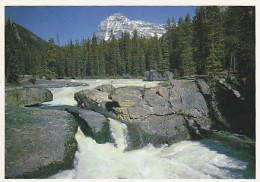 AK 181161 CANADA - British Columbia - Yoho National Park - Natural Bridge - Autres & Non Classés