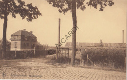 Achterbroek - Steenfabriek   (A530) - Kalmthout