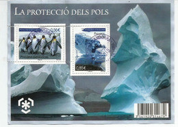 Protection Des Zones Polaires Et Des Glaciers, Bloc-feuillet Oblitéré, - Hojas Bloque