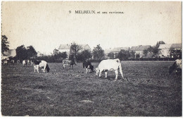 Melreux 9 Et Ses Environs - Hotton