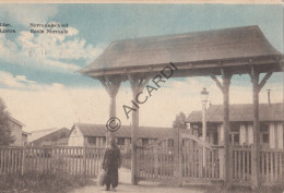 Lier - Normaalschool - Kleur 1922 (A494) - Lier