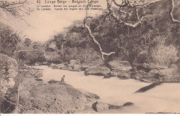 Etier Postal Congo Neuf N° 42 - 42 - Le Lualaba - Entré Des Gorges De Zilo (Katanga) - Stamped Stationery