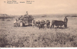 Etier Postal Congo Neuf N° 42 - 70 - Kisantu - Récolte Du Riz - Ganzsachen