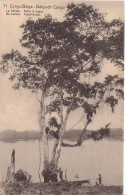 Etier Postal Congo écrit N° 42 - 71 - Le Lualaba - Arbre à Copal - Oblitération ABA - Enteros Postales