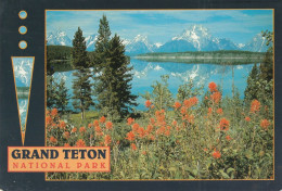 Grand Teton National Park, Wyoming Jackson Lake And TheTeton Range Through Indian Paint Brush - Andere & Zonder Classificatie