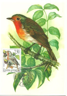 Carte Maximum - Oiseaux - Yougoslavie - Pisco Peito Ruivo - Rouge-gorge Familier - European Robin - Erithacus Rubecula - Maximum Cards