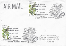 OKLAHOMA USA 20C - APPLE RIVER ILLINOIS - JUNE 20-1982 - 200th ANNIVERSARY STATION OF OUR NATION'S SYMBOL - Lettres & Documents