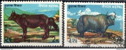 Nepal 1973 Tradional Pets 2 Values Cancelled 2010.0131 Yak - Mucche