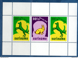 Suriname 1977 Child Wellfare Block MNH 2108.2306 - Autres & Non Classés