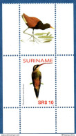 Suriname 2006 Kolibri, Bird 1-value From Sheetlet With Gutter MNH - Colibríes