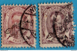 Luxemburg 1906 Service Stamps 1 F Willem IV Shades 2 Values Cancelled 06D-1.00 - 1906 William IV