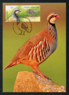 ISRAEL (2015) Carte Maximum Card ATM - Alectoris Chukar / Chukar Partridge / Perdiz / Perdrix Choukar - Bird, Oiseau - Cartes-maximum