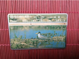 Landis & Gyr Bird  Phonecard Used Rare - Taiwán (Formosa)