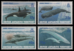 BAT / Brit. Antarktis 1996 - Mi-Nr. 250-253 ** - MNH - Wale / Whales - Unused Stamps