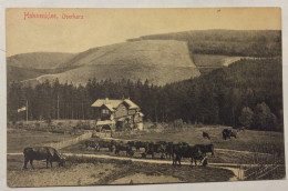 Hahnenklee , Oberharz - Oberharz