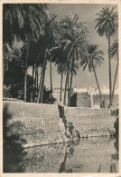 XLYB.69  GADAMES - La Sorgente Della Cavalla - 1939 - Libia
