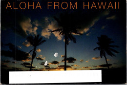 20-11-2023 (2 V 47) USA (posted To Australia In 2000) - Aloha From Hawaii (sunset With Palm Trees) - Arbres