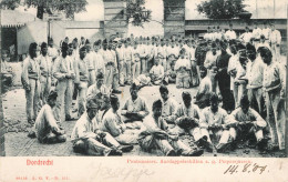 Dordrecht Aardappelschillen En Piepersjassen 2660 - Dordrecht