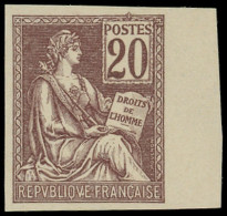 (*) VARIETES - 113e  Mouchon, 20c. Brun-lilas, NON DENTELE, Bdf, TB - Nuovi