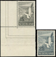 ** PAYS-BAS PA 12/13 : Mouettes, N°12 Cdf, TB - Posta Aerea