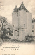 BELGIQUE - Environs De Bruxelles - Château De Dieghem - Carte Postale Ancienne - Otros & Sin Clasificación