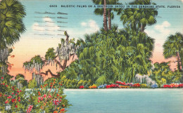 ETATS-UNIS - Florida - Majestic Palms On A Southern Bayou In The Sunshine - Colorisé - Carte Postale - Autres & Non Classés