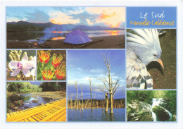 FRANCE - Le Sud De La Nouvelle Calédonie - Le Parc De La Rivière Bleue - Carte Postale - Nouvelle Calédonie