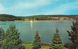 ETATS-UNIS - Pennysylvania - The Lake At Shawnee State Park - Colorisé - Carte Postale - Otros & Sin Clasificación