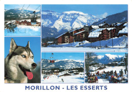 FRANCE - Morillon - Les Esserts - Husky - Chalets - Station De Ski - Multi Vues - Carte Postale - Autres & Non Classés
