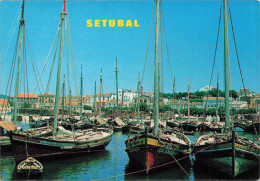 PORTUGAL - Setubal - Quai - Bateaux De Pêche - Carte Postale - Setúbal