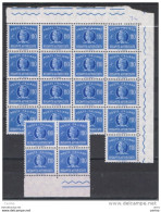 REPUBBLICA:  1977  RECAPITO  AUTORIZZATO  -  £. 110  AZZURRO  N. -  RIPETUTO  21  VOLTE  -  SASS. 15 - Express/pneumatic Mail