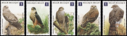 4030/4034**(BL182) - 25ans De Timbres De Haut Vol / 25 Jaar Hoogvliegers In De Filatelie - BUZIN - EUROPE - Poste