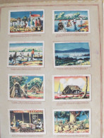 16 Images Chromo Découpis Chocolat Lombart. Vers 1900. Colonies Française Madagascar Antilles Océanie Congo. Sur Feuille - Lombart