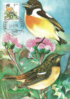 Carte Maximum - Oiseaux - Belgique - Cartaxo Comum - European Stonechat - Traquet Patre - Saxicola Rubicola - 1981-1990